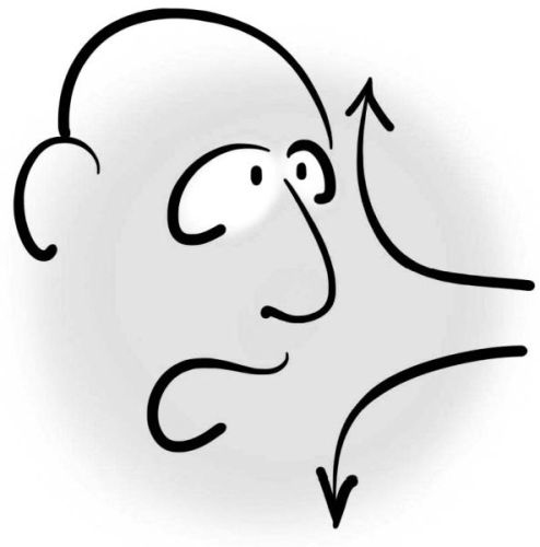 Иллюстрация к книге — PRO здоровье. Перевод с медицинского на человеческий [i_006.jpg]