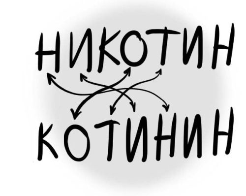Иллюстрация к книге — PRO здоровье. Перевод с медицинского на человеческий [i_040.jpg]