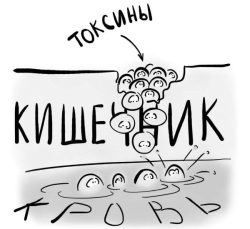 Иллюстрация к книге — PRO здоровье. Перевод с медицинского на человеческий [i_056.jpg]