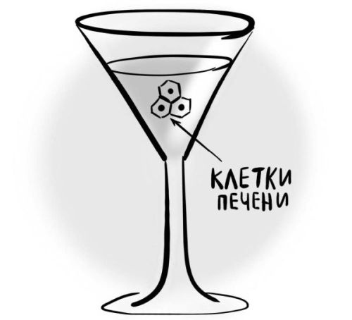 Иллюстрация к книге — PRO здоровье. Перевод с медицинского на человеческий [i_062.jpg]