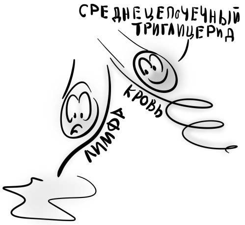 Иллюстрация к книге — PRO здоровье. Перевод с медицинского на человеческий [i_090.jpg]