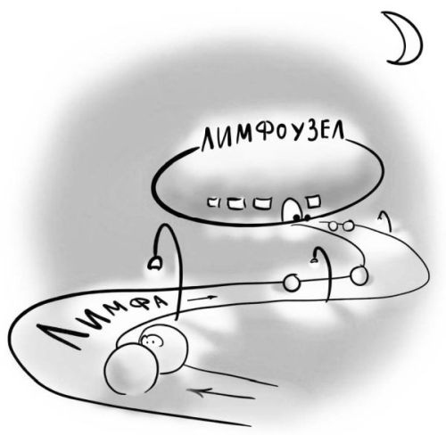 Иллюстрация к книге — PRO здоровье. Перевод с медицинского на человеческий [i_092.jpg]