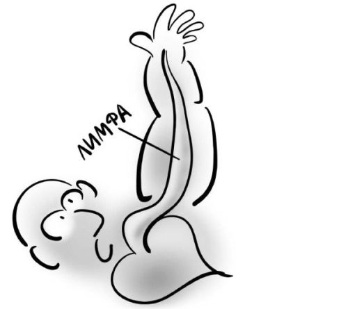 Иллюстрация к книге — PRO здоровье. Перевод с медицинского на человеческий [i_094.jpg]