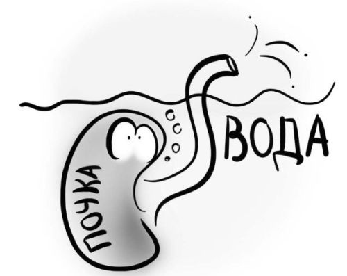 Иллюстрация к книге — PRO здоровье. Перевод с медицинского на человеческий [i_095.jpg]