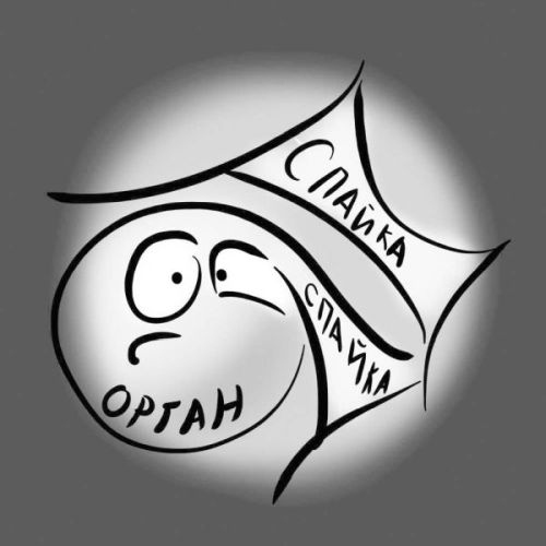 Иллюстрация к книге — PRO здоровье. Перевод с медицинского на человеческий [i_105.jpg]