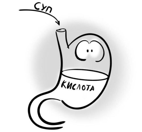 Иллюстрация к книге — PRO здоровье. Перевод с медицинского на человеческий [i_106.jpg]