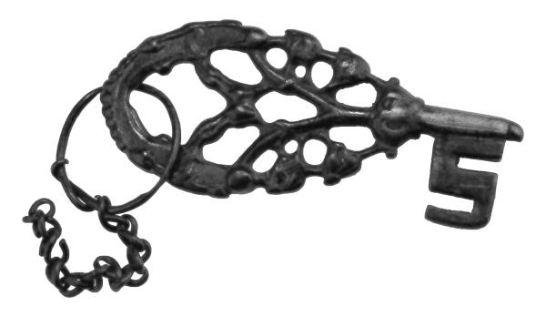 Иллюстрация к книге — Викинги [i_030.jpg]