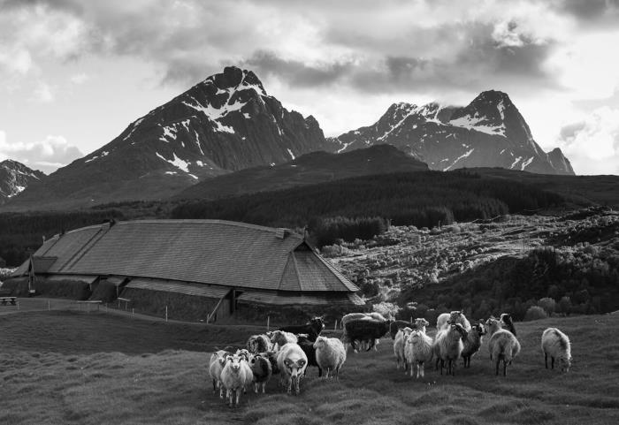 Иллюстрация к книге — Викинги [i_034.jpg]