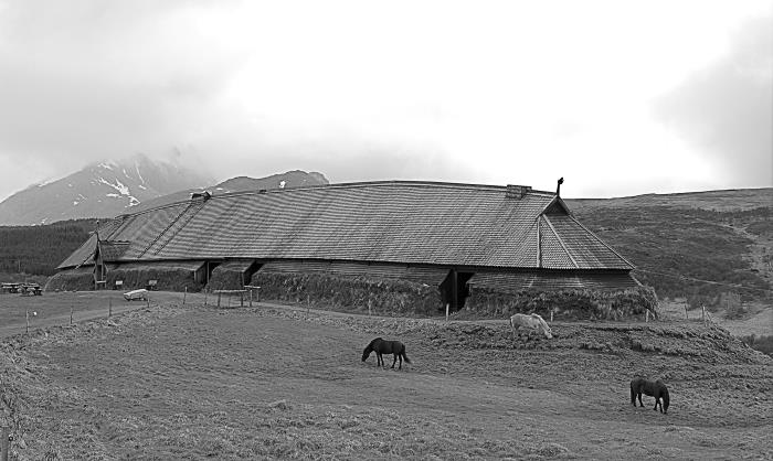 Иллюстрация к книге — Викинги [i_048.jpg]