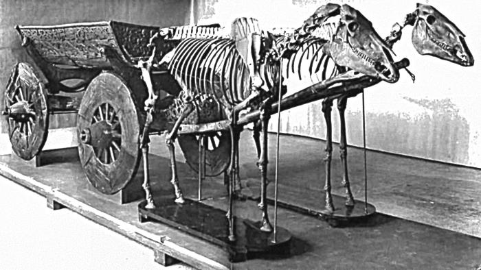 Иллюстрация к книге — Викинги [i_049.jpg]