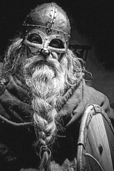 Иллюстрация к книге — Викинги [i_065.jpg]