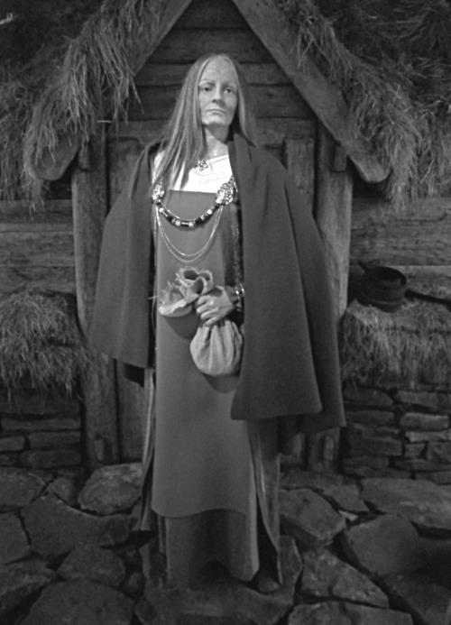 Иллюстрация к книге — Викинги [i_078.jpg]