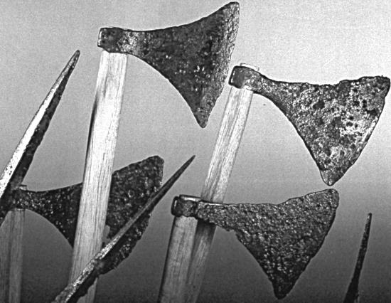 Иллюстрация к книге — Викинги [i_176.jpg]