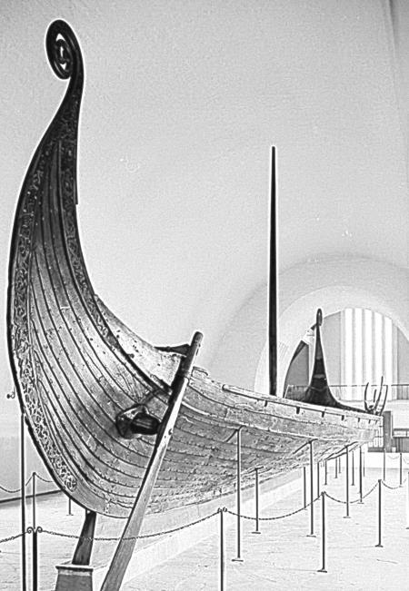 Иллюстрация к книге — Викинги [i_207.jpg]