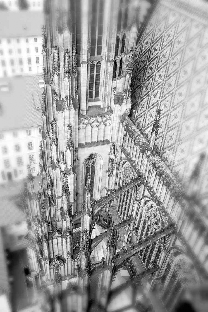 Иллюстрация к книге — Чешское время. Большая история маленькой страны: от святого Вацлава до Вацлава Гавела [i_005.jpg]