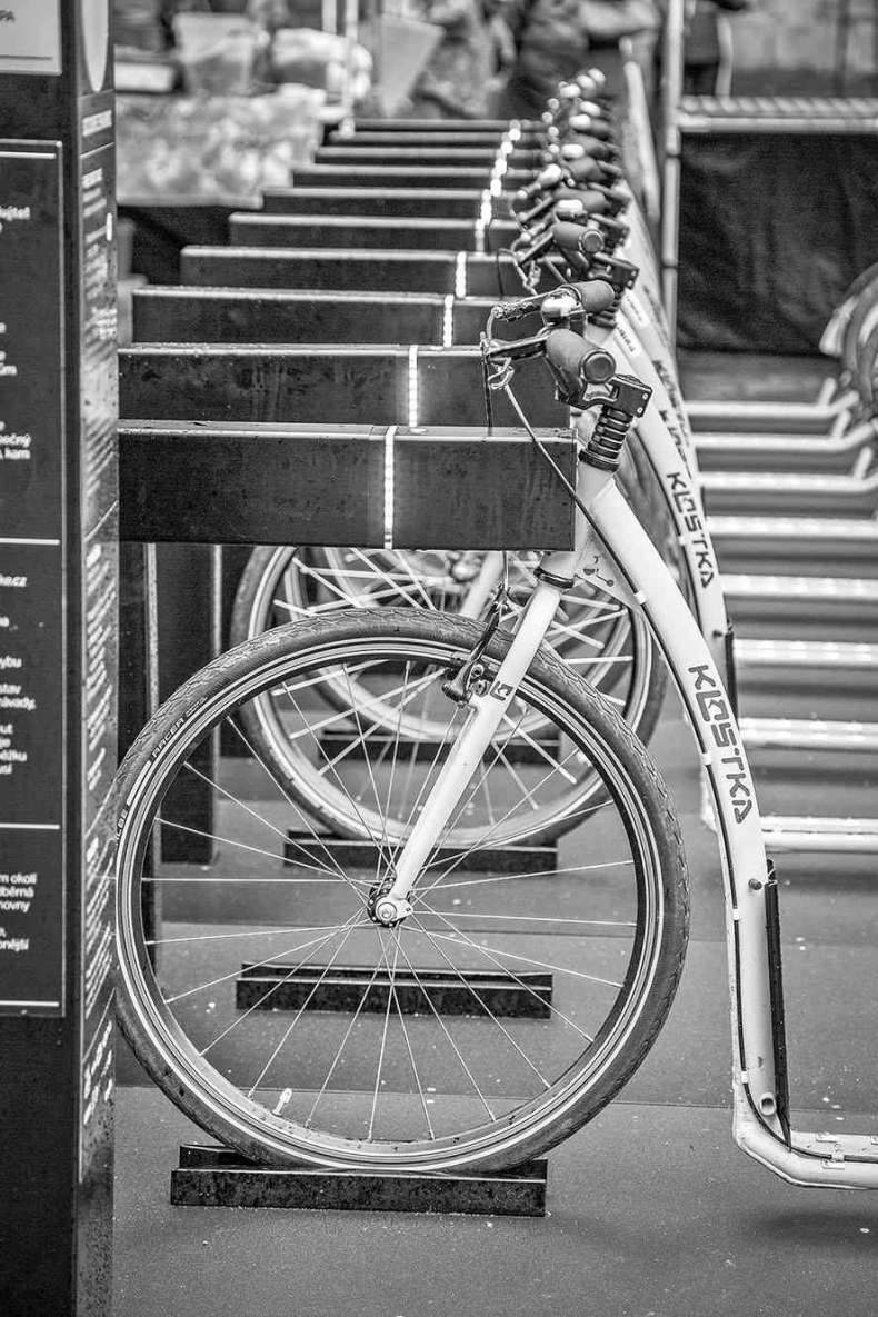 Иллюстрация к книге — Чешское время. Большая история маленькой страны: от святого Вацлава до Вацлава Гавела [i_016.jpg]