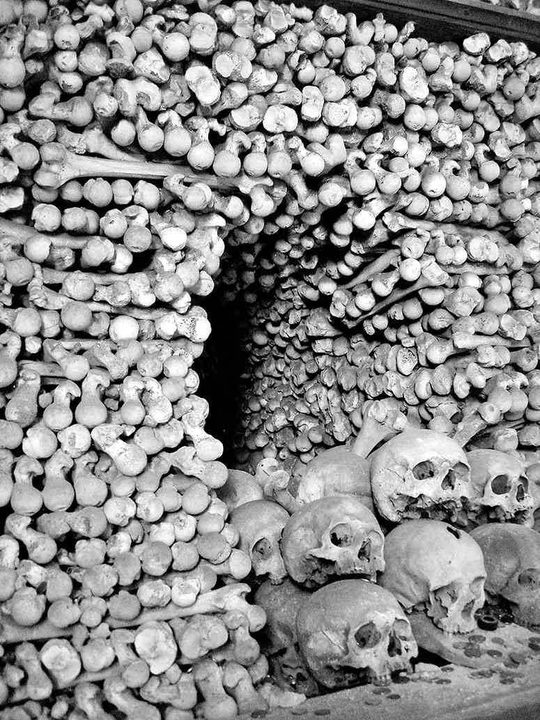 Иллюстрация к книге — Чешское время. Большая история маленькой страны: от святого Вацлава до Вацлава Гавела [i_046.jpg]