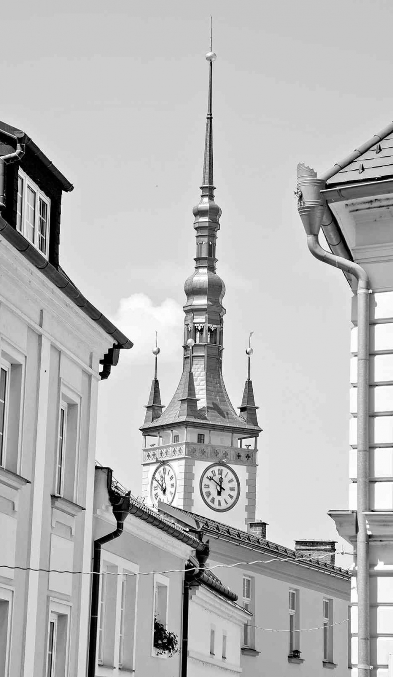 Иллюстрация к книге — Чешское время. Большая история маленькой страны: от святого Вацлава до Вацлава Гавела [i_079.jpg]