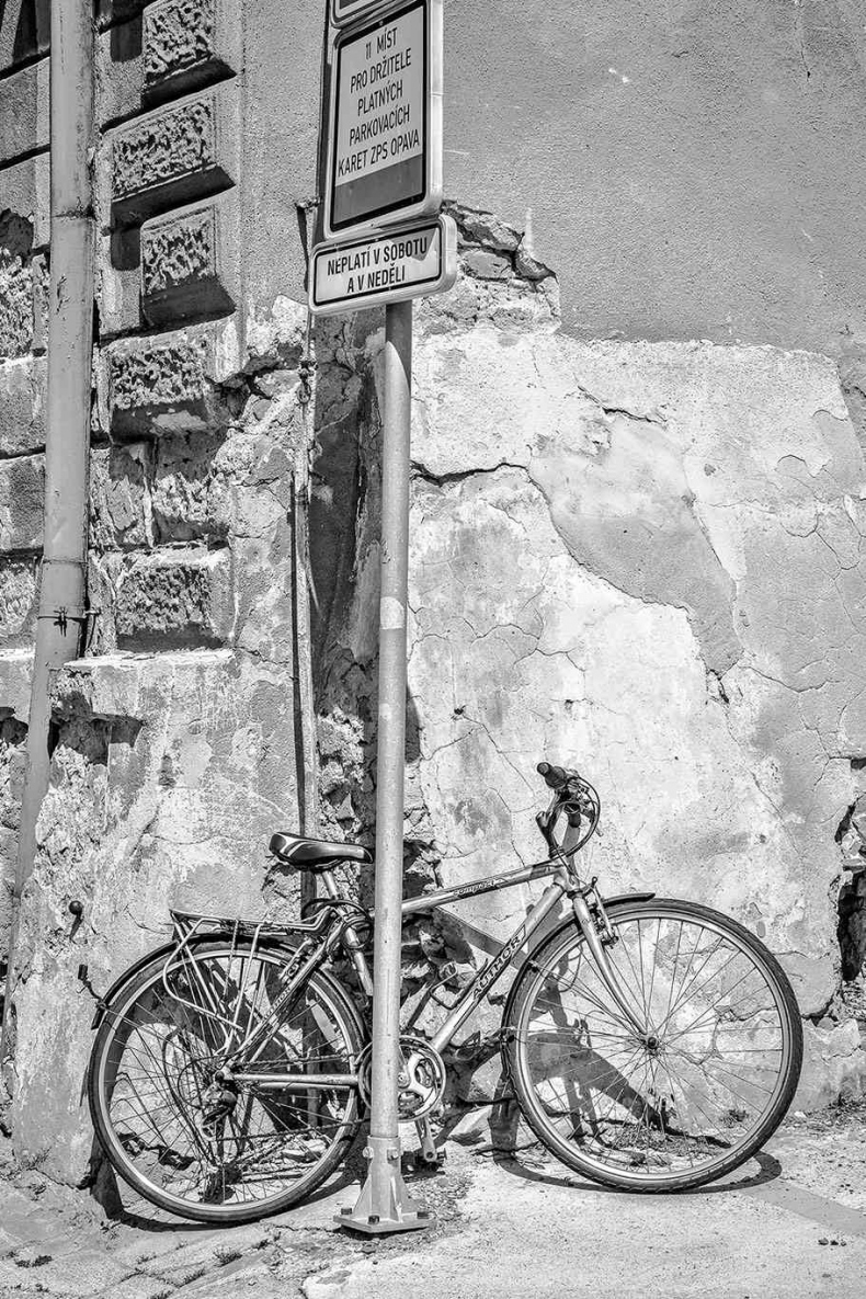 Иллюстрация к книге — Чешское время. Большая история маленькой страны: от святого Вацлава до Вацлава Гавела [i_095.jpg]