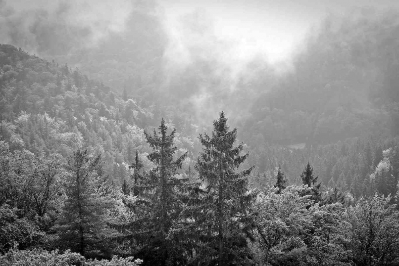 Иллюстрация к книге — Чешское время. Большая история маленькой страны: от святого Вацлава до Вацлава Гавела [i_111.jpg]