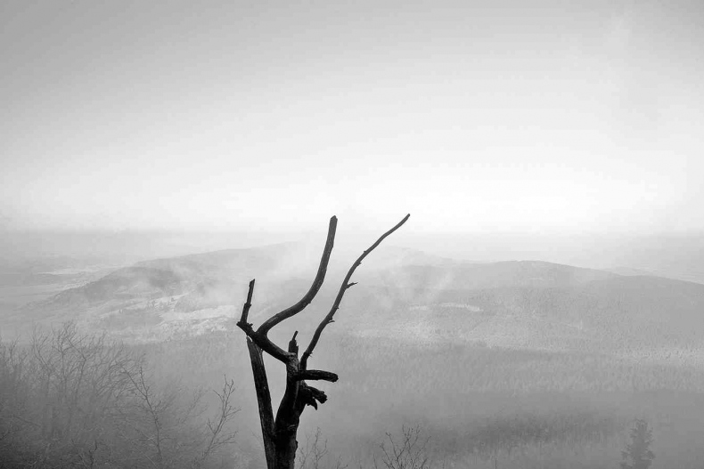 Иллюстрация к книге — Чешское время. Большая история маленькой страны: от святого Вацлава до Вацлава Гавела [i_113.jpg]