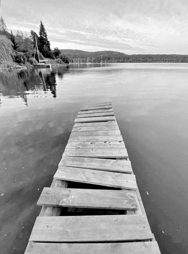 Иллюстрация к книге — Чешское время. Большая история маленькой страны: от святого Вацлава до Вацлава Гавела [i_114.jpg]