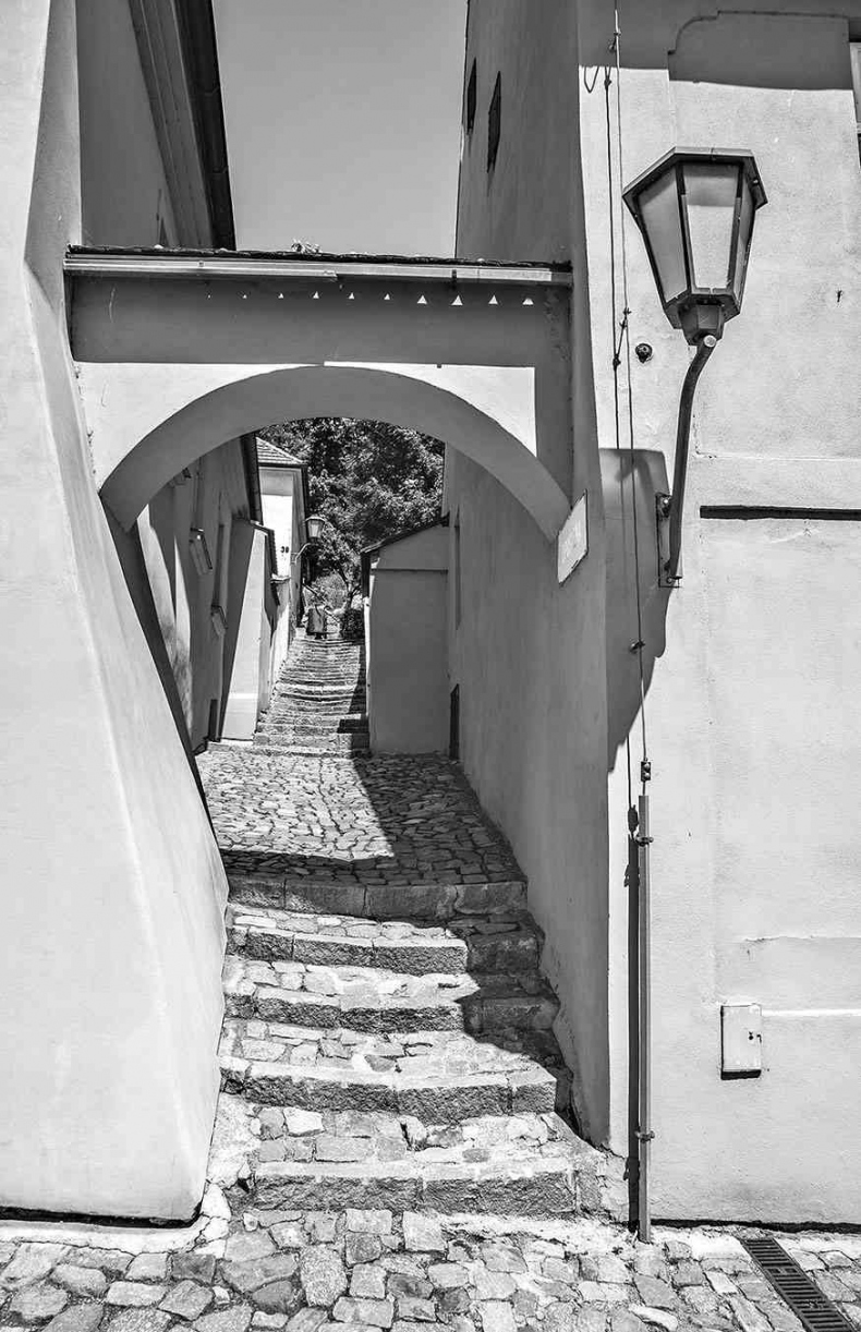 Иллюстрация к книге — Чешское время. Большая история маленькой страны: от святого Вацлава до Вацлава Гавела [i_151.jpg]