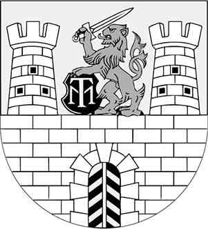 Иллюстрация к книге — Чешское время. Большая история маленькой страны: от святого Вацлава до Вацлава Гавела [i_164.jpg]