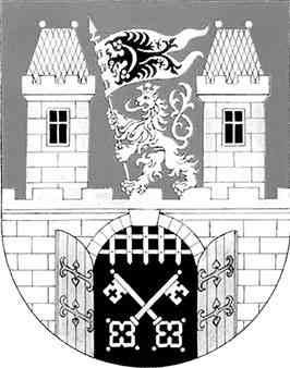 Иллюстрация к книге — Чешское время. Большая история маленькой страны: от святого Вацлава до Вацлава Гавела [i_168.jpg]