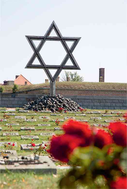 Иллюстрация к книге — Чешское время. Большая история маленькой страны: от святого Вацлава до Вацлава Гавела [i_193.jpg]