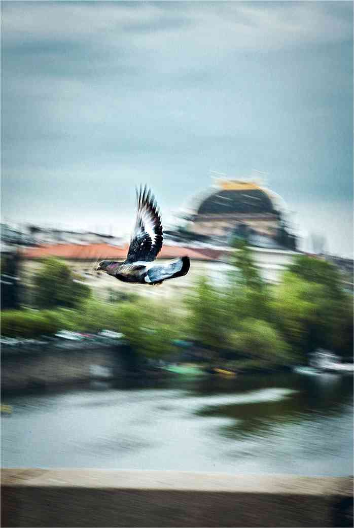 Иллюстрация к книге — Чешское время. Большая история маленькой страны: от святого Вацлава до Вацлава Гавела [i_198.jpg]