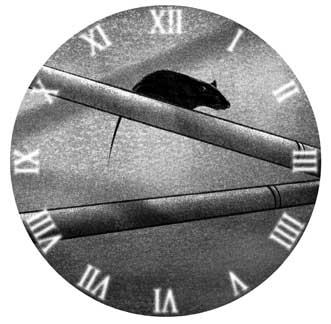 Иллюстрация к книге — Когда остановились часы [i_013.jpg]