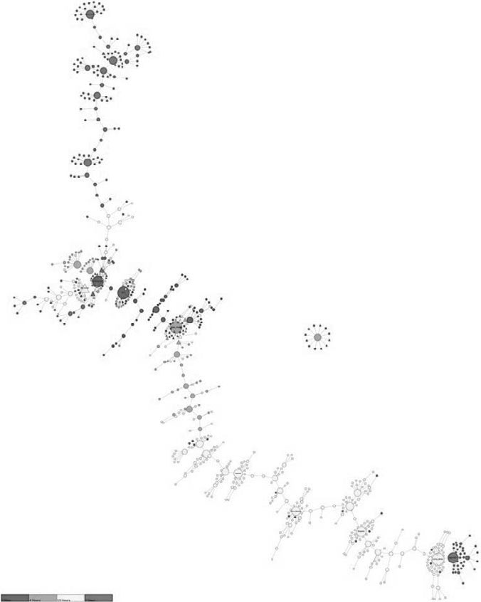 Иллюстрация к книге — Цифровая гигиена [i_021.jpg]