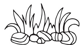 Иллюстрация к книге — Больше, чем 5 соток. Как на маленьком участке получить максимум урожая [i_014.jpg]