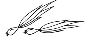 Иллюстрация к книге — Больше, чем 5 соток. Как на маленьком участке получить максимум урожая [i_039.jpg]