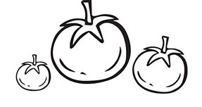 Иллюстрация к книге — Больше, чем 5 соток. Как на маленьком участке получить максимум урожая [i_045.jpg]