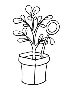 Иллюстрация к книге — Больше, чем 5 соток. Как на маленьком участке получить максимум урожая [i_046.jpg]