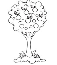 Иллюстрация к книге — Больше, чем 5 соток. Как на маленьком участке получить максимум урожая [i_048.jpg]