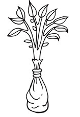 Иллюстрация к книге — Больше, чем 5 соток. Как на маленьком участке получить максимум урожая [i_050.jpg]