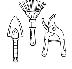 Иллюстрация к книге — Больше, чем 5 соток. Как на маленьком участке получить максимум урожая [i_053.jpg]