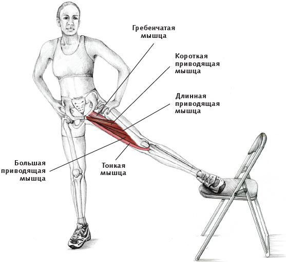 Иллюстрация к книге — Анатомия стретчинга [i_128.jpg]