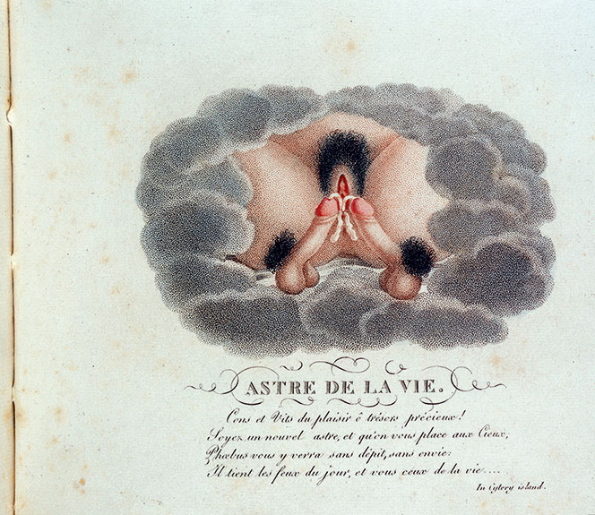 Иллюстрация к книге — Удивительная история секса. Взгляд сквозь века на одну из самых табуированных тем человечества [i_010.jpg]