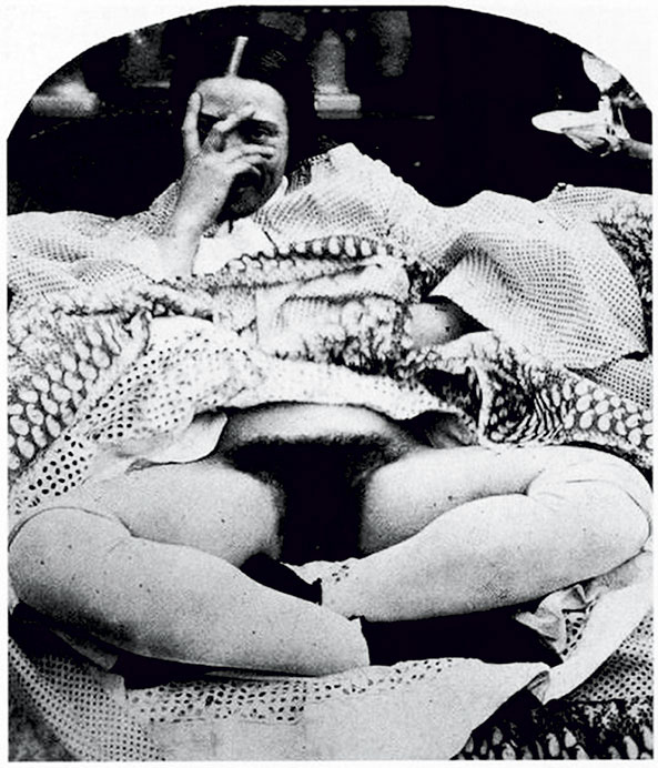 Иллюстрация к книге — Удивительная история секса. Взгляд сквозь века на одну из самых табуированных тем человечества [i_093.jpg]