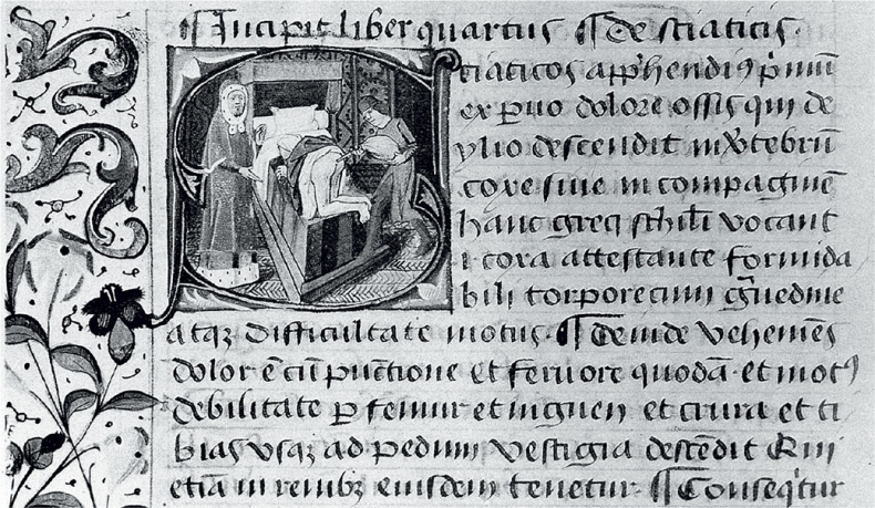 Иллюстрация к книге — Удивительная история секса. Взгляд сквозь века на одну из самых табуированных тем человечества [i_100.jpg]