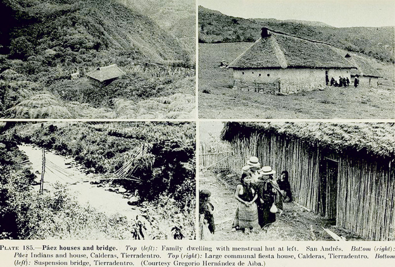 Иллюстрация к книге — Удивительная история секса. Взгляд сквозь века на одну из самых табуированных тем человечества [i_116.jpg]