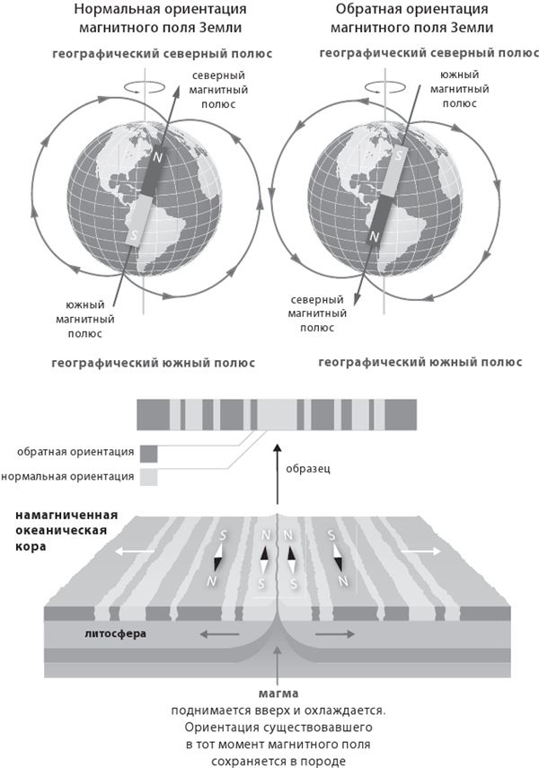 Иллюстрация к книге — Как мы стали людьми. Поиски истоков человечества [i_003.jpg]
