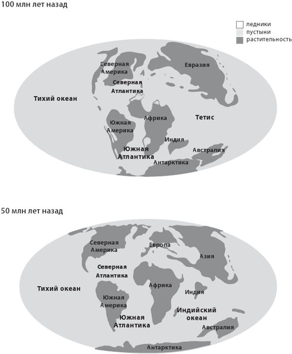 Иллюстрация к книге — Как мы стали людьми. Поиски истоков человечества [i_006.jpg]