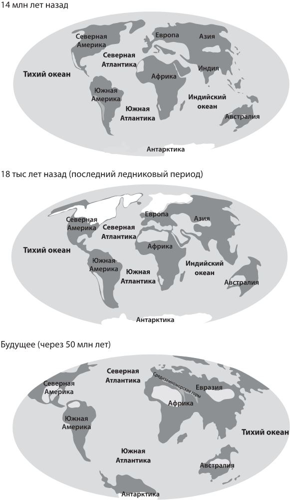 Иллюстрация к книге — Как мы стали людьми. Поиски истоков человечества [i_007.jpg]
