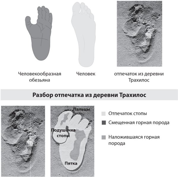 Иллюстрация к книге — Как мы стали людьми. Поиски истоков человечества [i_013.jpg]