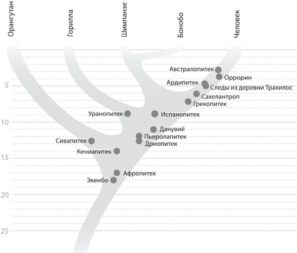 Иллюстрация к книге — Как мы стали людьми. Поиски истоков человечества [i_017.jpg]